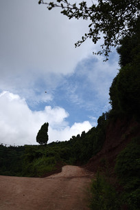 �ɶ���Ȫɽɽ·