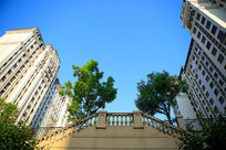 �����к���������