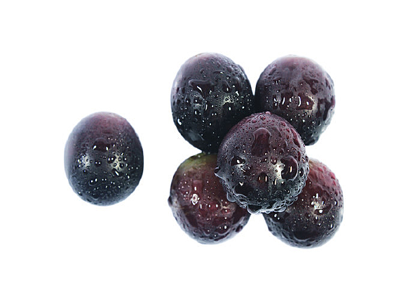 ��ɢ��ϵĺ�������