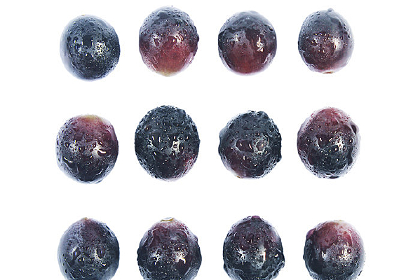 ���������Ϻ�����