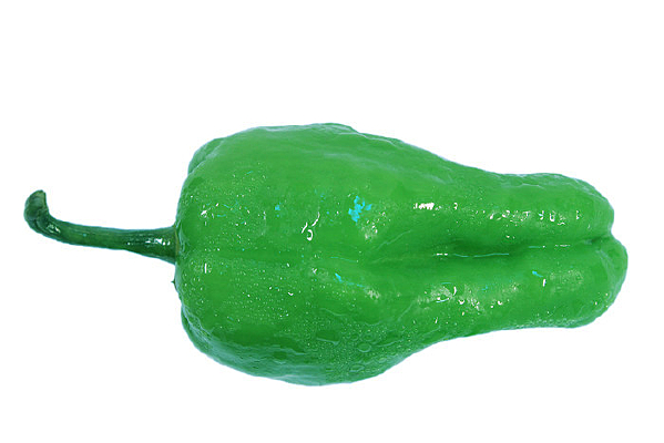 һֻˮƽ������ʴ����ཷ