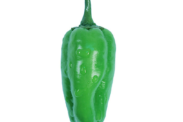 һֻ������ɫ�ཷ