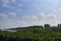 ���Ӱ���ׯ��