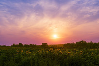 ��ϼ�п���