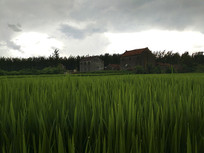 ������ѹ��