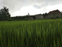 �������������