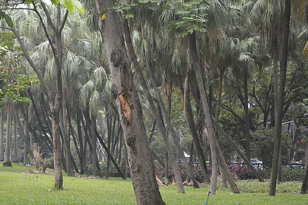 ��԰Ҭ����