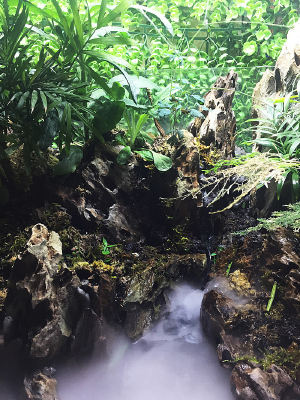 ������ɽ