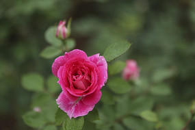 ��ɫ�¼���