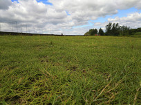 ��ԭ������