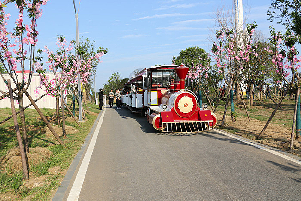 ��ɭ�۹�С��