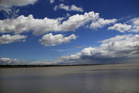 ��̲������