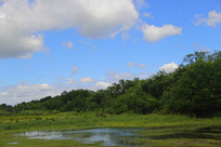 ��ɫ���ʪ��