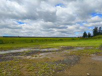 ��ɫʪ���ƺ�