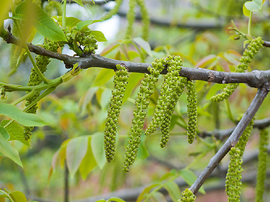 ���ҿ���ľ���һ���