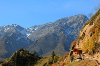 ѩɽ�µ�����������