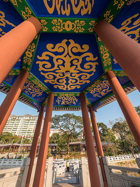 ���ӻ���������Ԫͤ���컨��