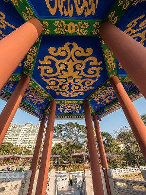 ���ӻ���������Ԫͤ���컨��