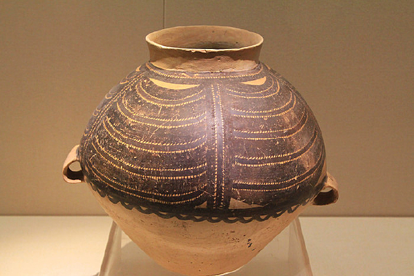 ���չ޾����