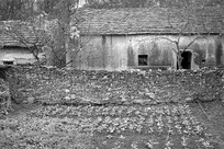 ͭ���ͨ��ĹŴ���ô�