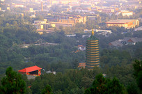 ������ɽ�˴󴦸�������¼�����������