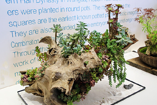 ����԰���辰