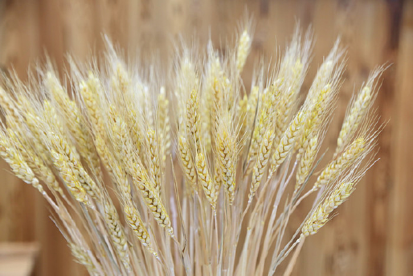 С������