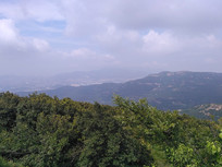 ���͵��ֵ�ɽ��