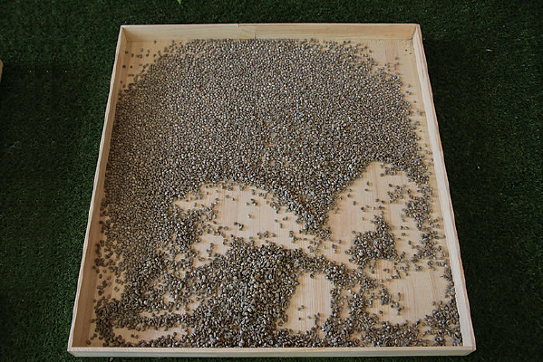 ������ɹ���ȶ�