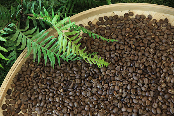 �����еĿ��ȶ�