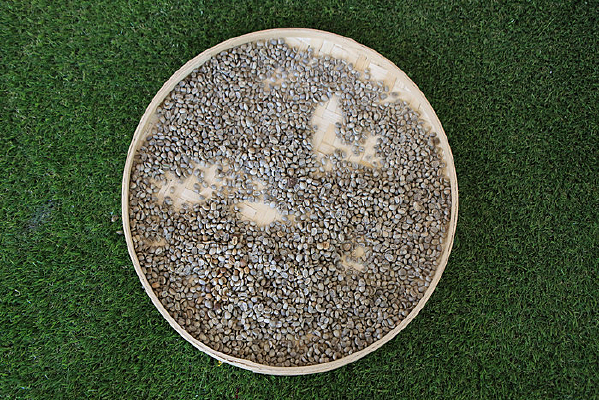 ���ȶ�Բ����ɹ