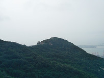 ���������ɽ��