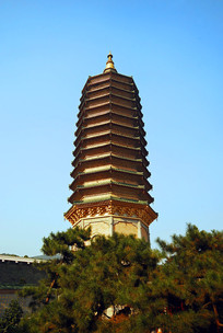 �������������������