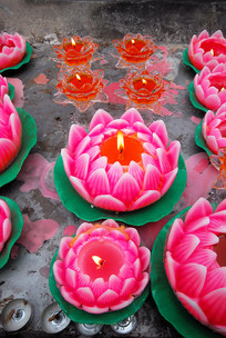 �����������¯�ϵ��������� 