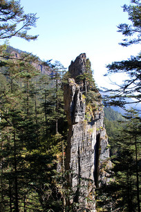 ������ũ����ũ�ȷ��