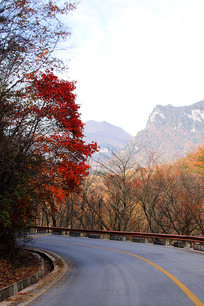 ����ũ��ɽ����ĵ�·