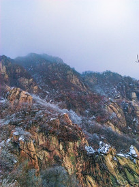 ������������ɽ