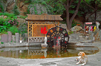 �����˴󴦱��鶴��ʱ����ת��