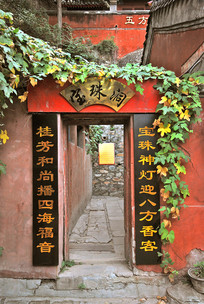 �����˴��ߴ����鶴