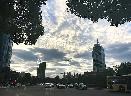 ��������Ʋ�