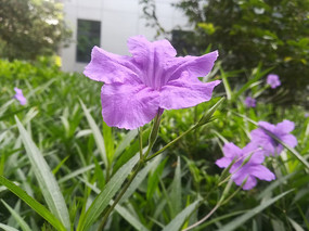 ī����������