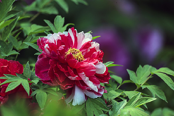 ����ĵ��