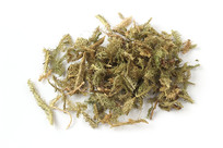 ��ҩ���ݰ׵���Ӱͼ