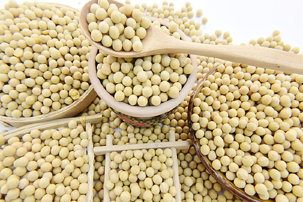 ��ɫ���ӵĻƶ�