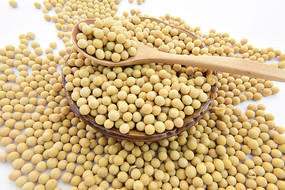  �ƶ�����