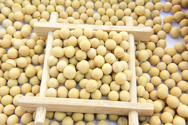 �л�Ӫ����ƶ�