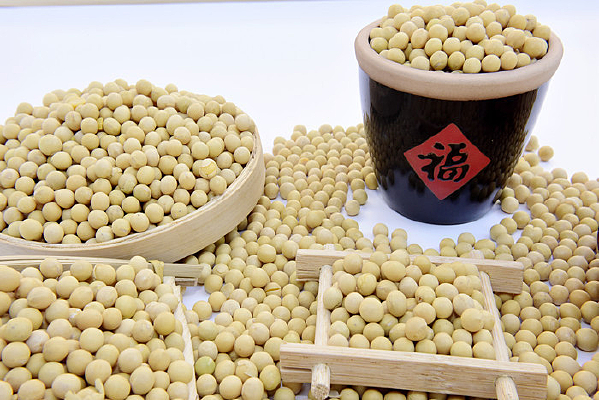 ���ʴ�ƶ���д