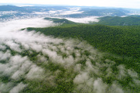 ���˰���ï���ֺ�����