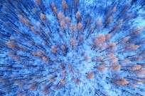 ���˰���ѩԭ���֣����ģ�