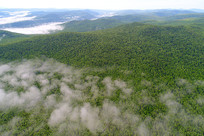 ���˰���ԭʼɭ���ƺ�